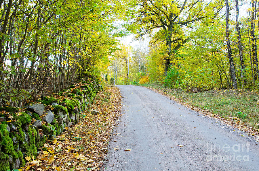 Fall Photograph - Country Road #1 by Kennerth and Birgitta Kullman