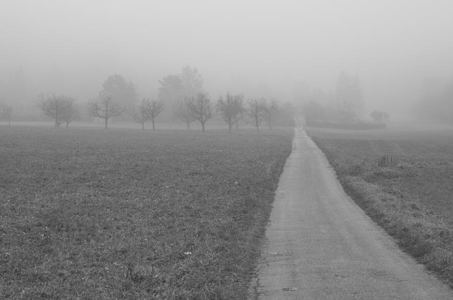 Country Road #1 Photograph by Miguel Winterpacht