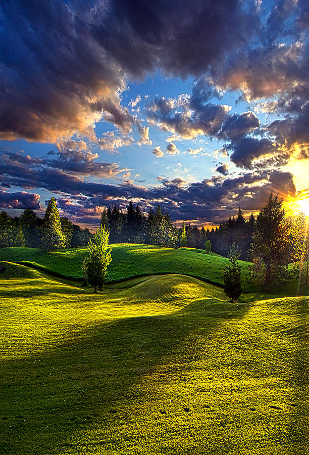 Country Strolling #1 Photograph by Phil Koch