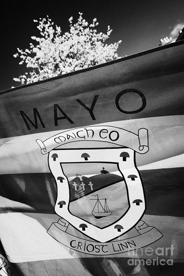 Flag Photograph - County Mayo Gaa County Flag Republic Of Ireland #1 by Joe Fox