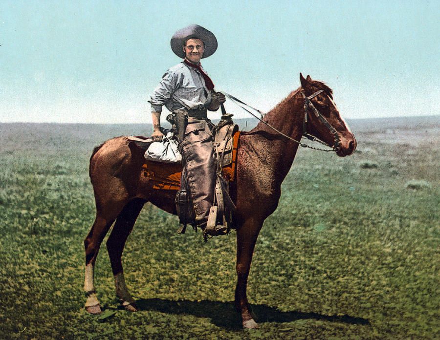 Cowboy, 1900s #1 Photograph by Science Source