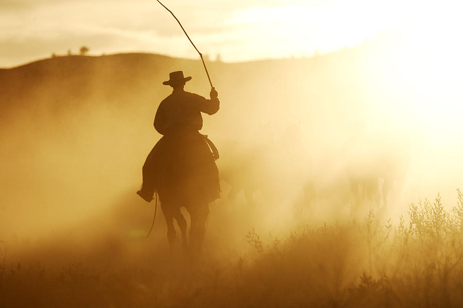 Cowboy At Sunset #1 Photograph by M. Watson