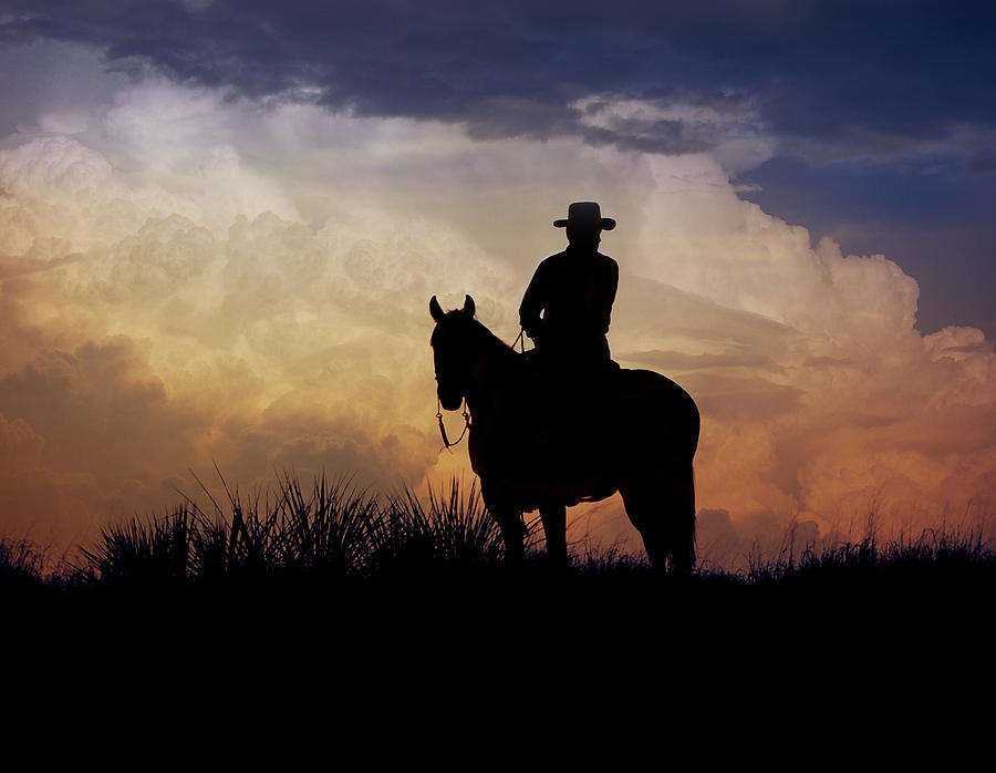 Cowboy Blue1 Photograph by Paul Chauncey - Fine Art America