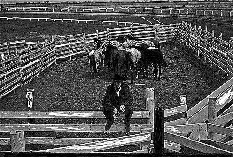 Cowboy huddled horses fences Aberdeen South Dakota 1965 drawing added 2010 #1 Photograph by David Lee Guss