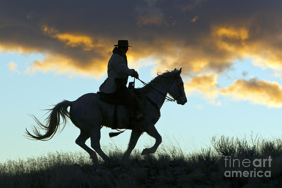 Cowboy Silhouette #1 Photograph by M. Watson