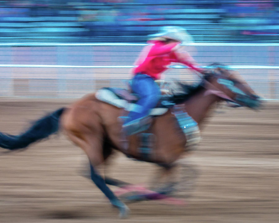 Animal Photograph - Cowgirl Rides Fast For Best Time #1 by Panoramic Images