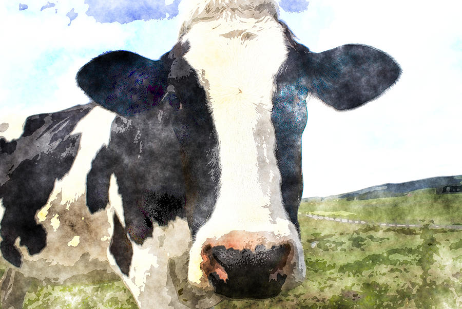Cows R Us Painting by MotionAge Designs