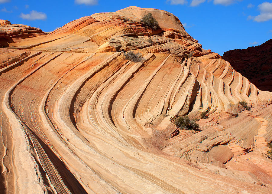 Coyote Buttes #1 Photograph by Farol Tomson