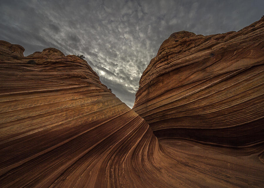 Abstract Photograph - Coyote Buttes The Wave #1 by Michael Just