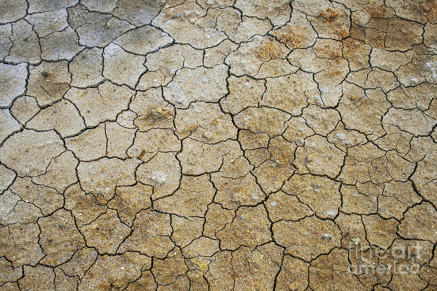 Cracked clay earth Photograph by Patricia Hofmeester