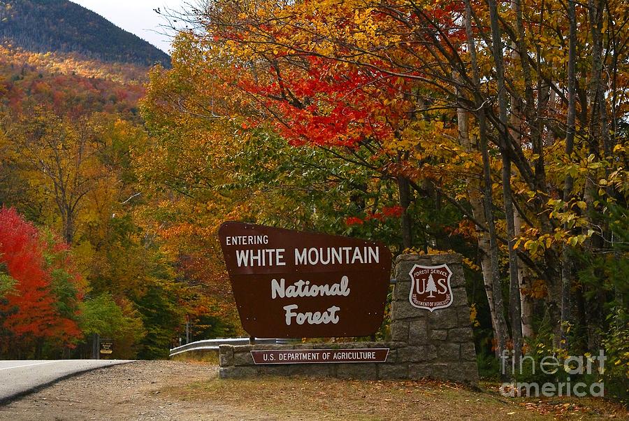 Crawford Notch. #2 Photograph by New England Photography