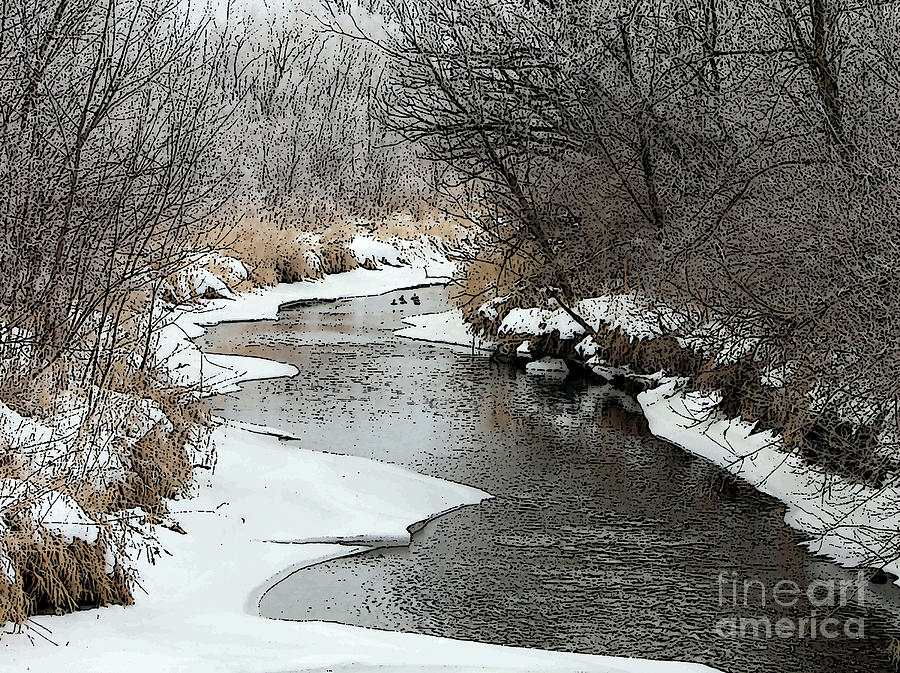 Creek #1 Photograph by Debbie Hart
