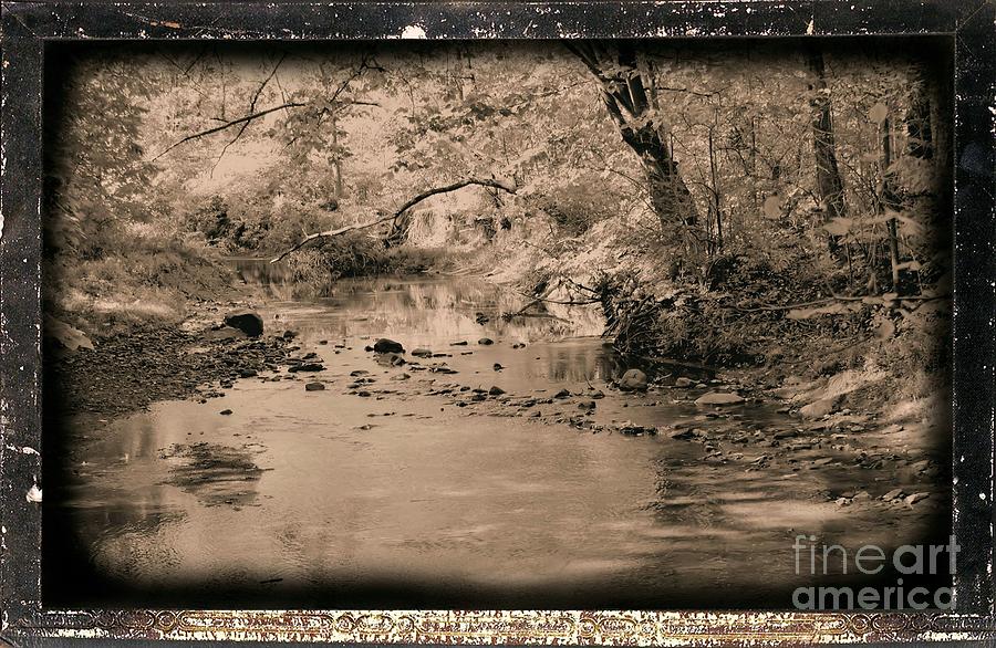 Creek Photograph by John Krakora