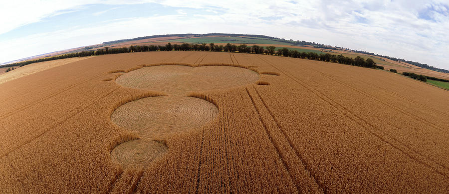 Crop Formation In Form Of Mandelbrot Set #1 Photograph by David Parker/science Photo Library