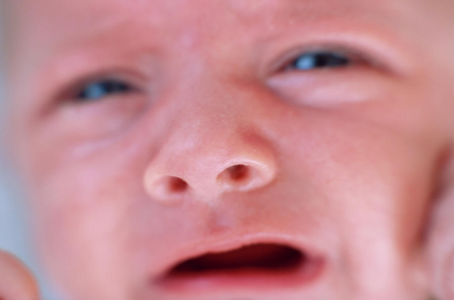 Crying Baby Boy #1 Photograph by Ian Hooton/science Photo Library
