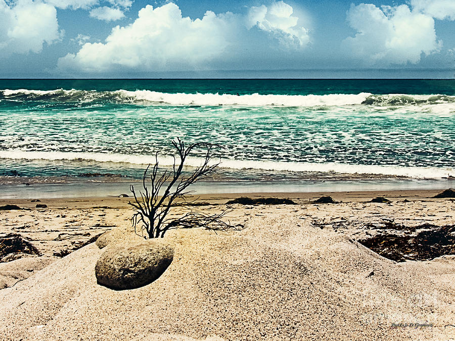 Beach Photograph - Crystal Blue Persuasion #1 by Rhonda Strickland