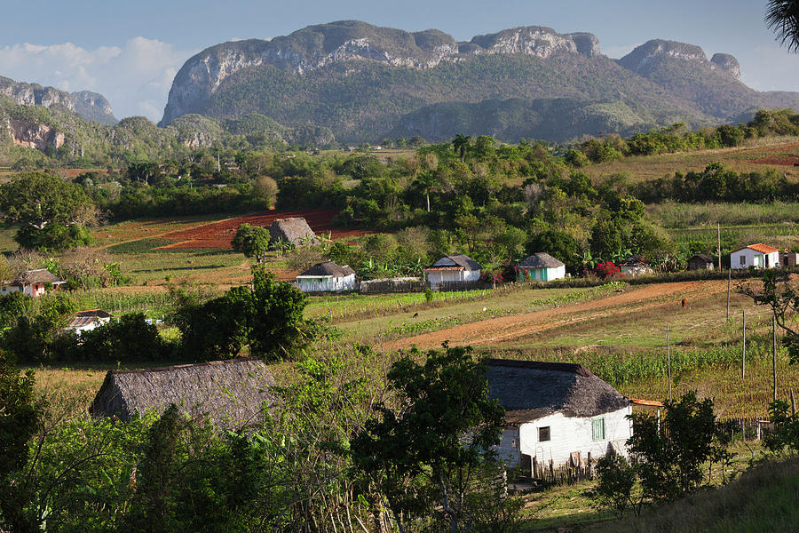 Farm Photograph - Cuba, Pinar Del Rio Province, Vinales #1 by Walter Bibikow