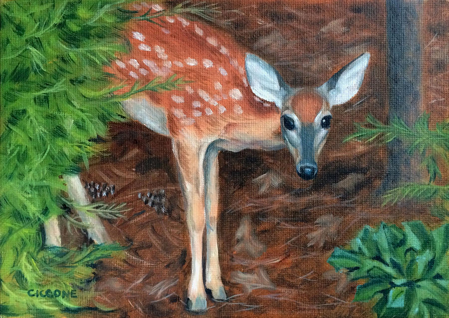 Curious Fawn Painting by Jill Ciccone Pike