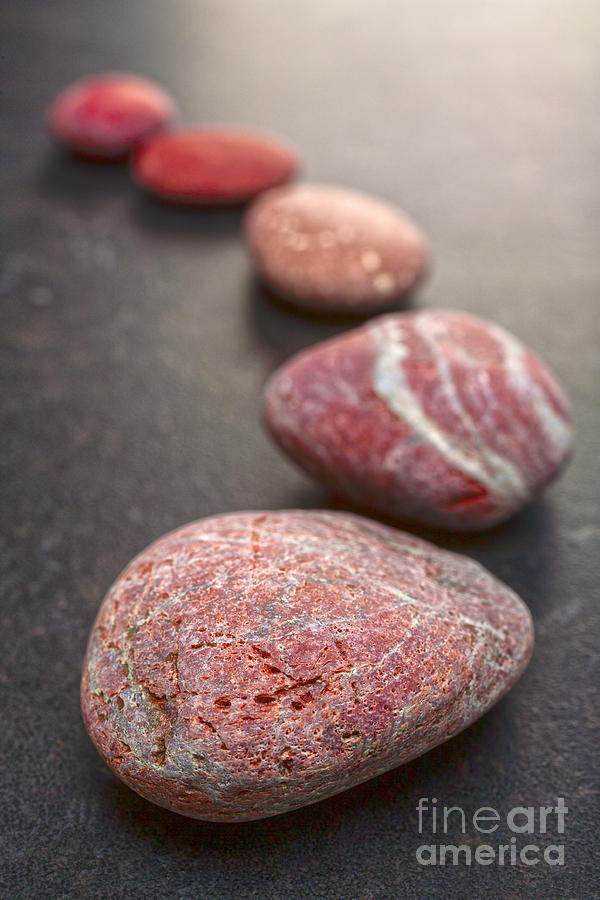 Stone Photograph - Curving Line of Red and Grey Pebbles on Dark Background #1 by Colin and Linda McKie