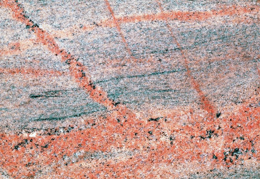 Rock Photograph - Cut Surface Showing Granite Invading Gneiss #1 by George Bernard/science Photo Library