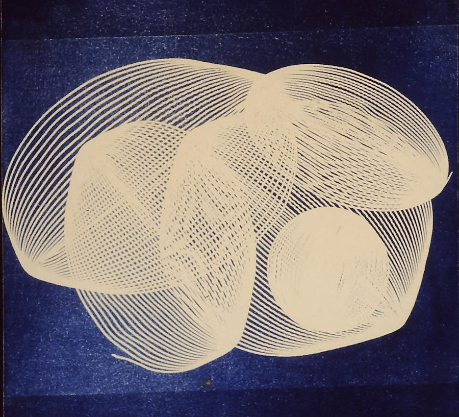 Community cyanotype Drawing by Jeremy Johnson