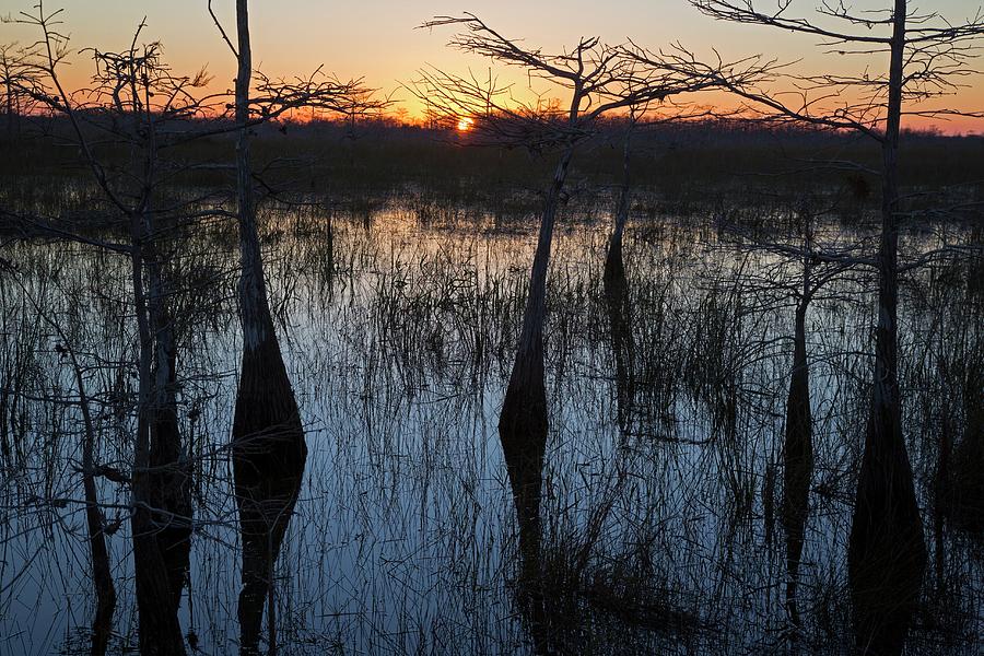 Everglades National Park Photograph - Cypress Swamp At Sunrise #1 by Jim West