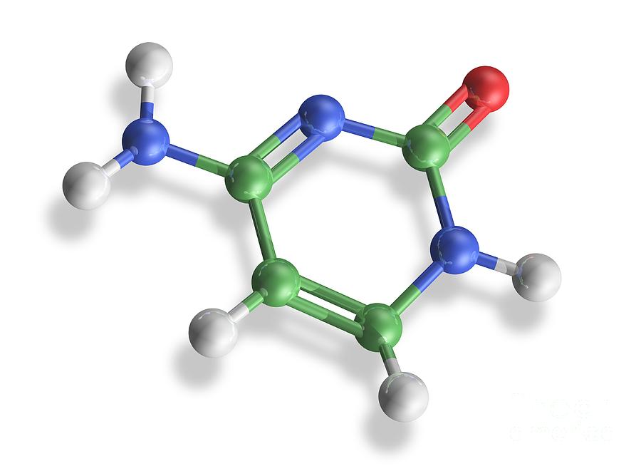 Cytosine Molecule, Artwork Photograph By Carlos Clarivan - Fine Art America