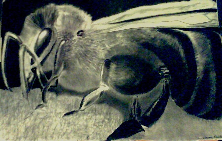 Daddys Baby Bee Drawing by Suzanne Berthier