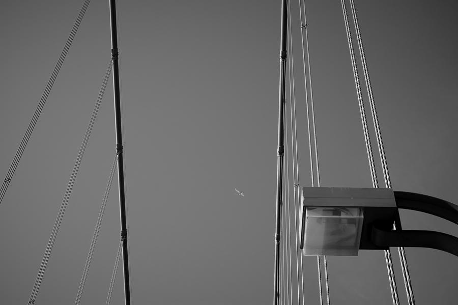 Bridge Photograph - DaPlane #1 by Casey Merrill