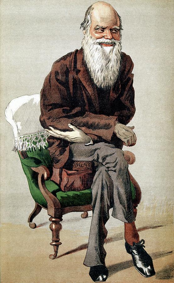 Darwin Caricature #1 Photograph by George Bernard/science Photo Library
