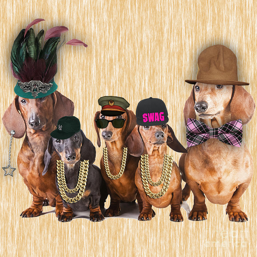 Cool Mixed Media - Dachshund Family #4 by Marvin Blaine