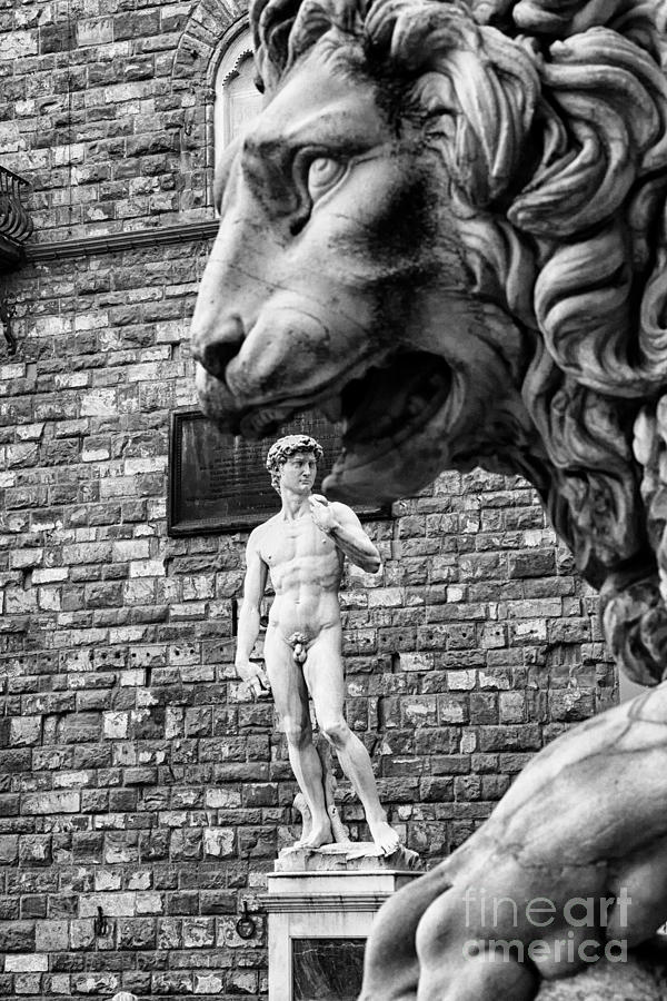 David and Lion #1 Photograph by Nicola Fiscarelli