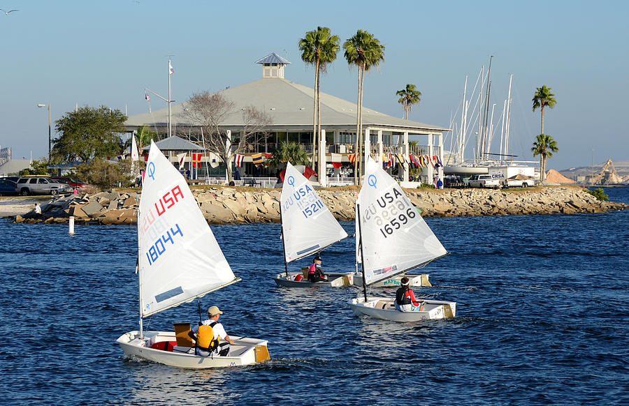 davis island yacht club jobs