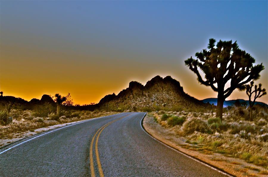 Dawn In The Desert #1 Photograph by Joe  Burns