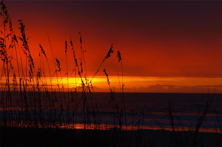 Dawn's Early Light Photograph by Kathleen Palermo