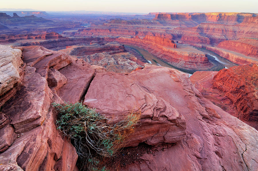 Dead Horse Point Landscape In The #1 Photograph by Rezus
