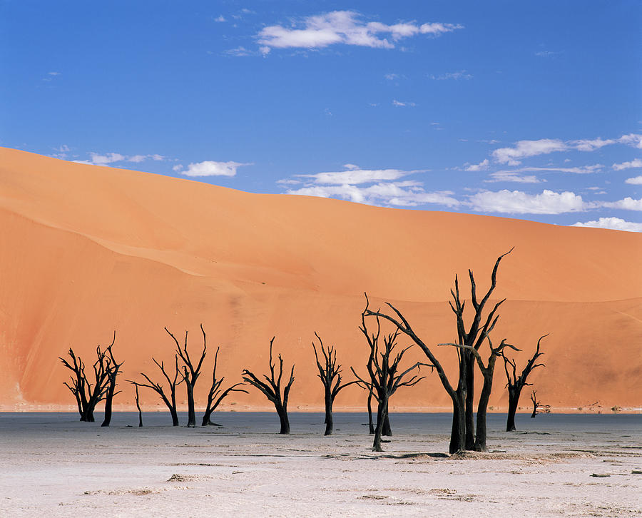 Dead Vlei Desert Pan #1 Photograph by Sinclair Stammers/science Photo Library