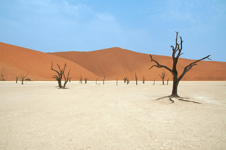 Deadvlei, Namibia #1 Photograph by Mb Photography