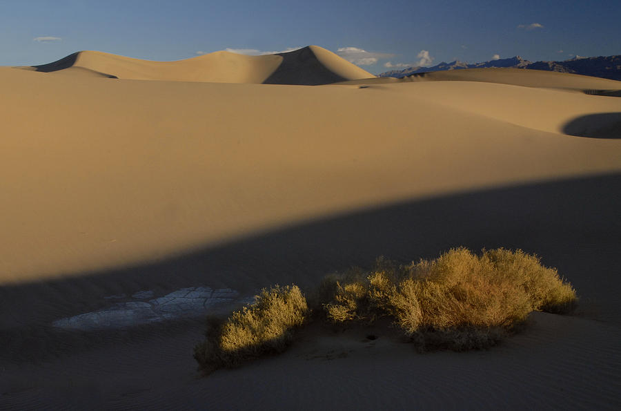 Death Valley Dunes #1 Photograph by Dave Mills