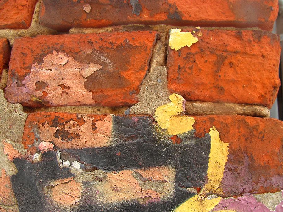 Decay Beauty #1 Photograph by Alfred Ng