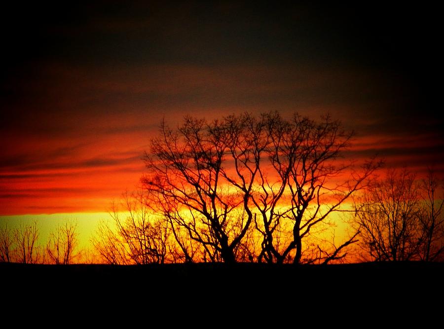 December Sunset #1 Photograph by Joyce Kimble Smith