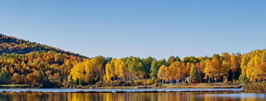 Fall Photograph - Deciduous forest reflection in an lake  #1 by U Schade