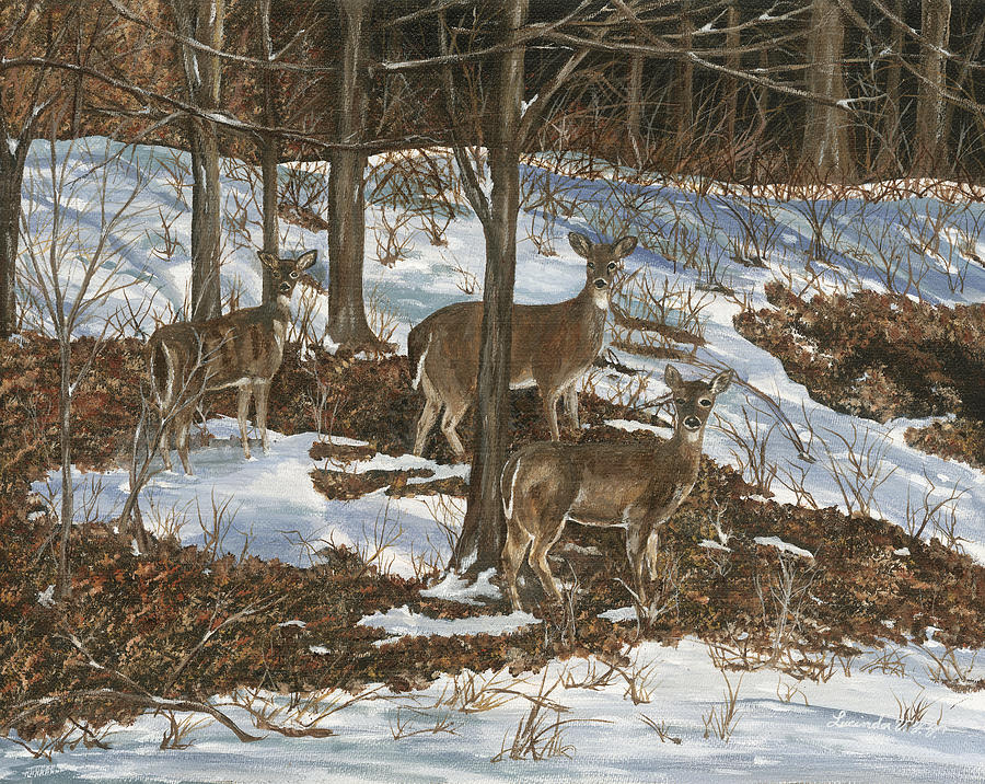 Deer in Winter Painting by Lucinda VanVleck