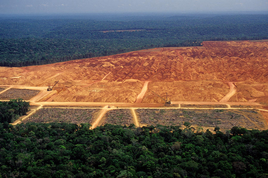 Deforestation in the Amazon #1 Photograph by Luoman