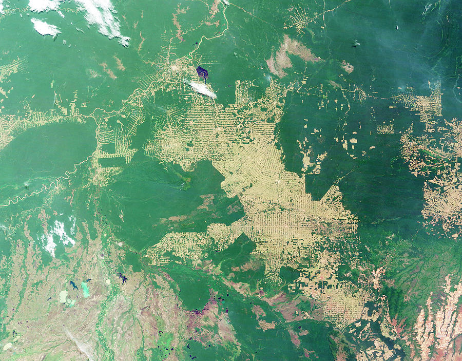 Deforestation In The Amazon #1 Photograph by Nasa Earth Observatory