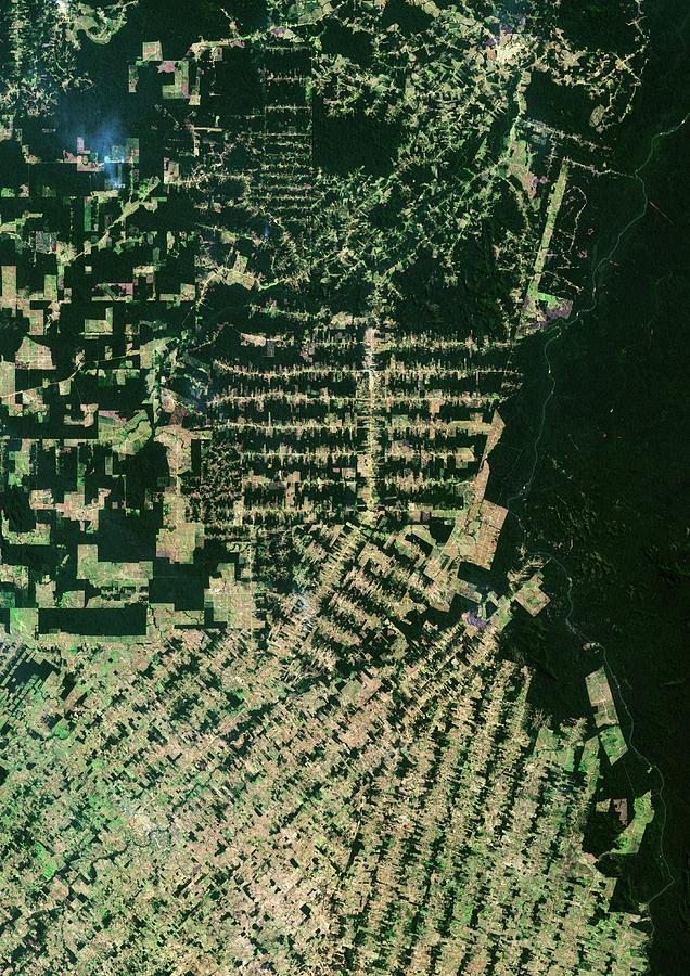 Deforestation In The Amazon #1 Photograph by Planetobserver/science Photo Library