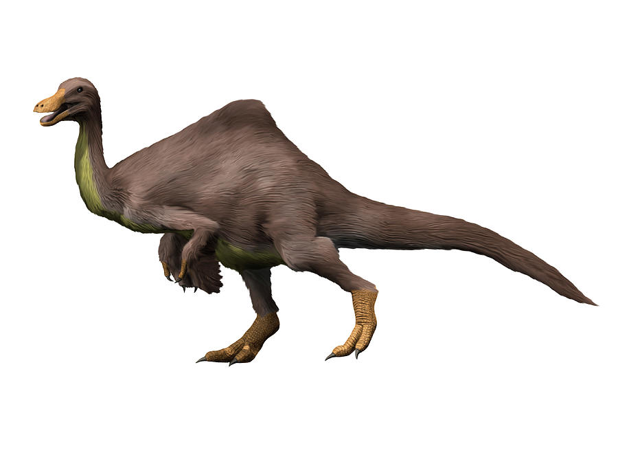 Deinocheirus Is An Ostrich-like #1 by Nobumichi Tamura