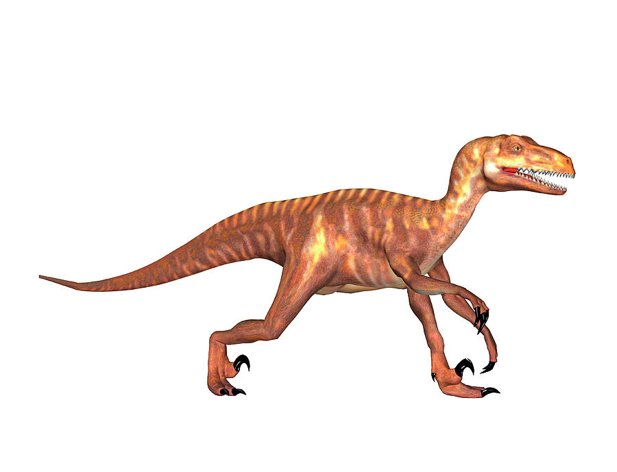 deinonychus dinosaur king