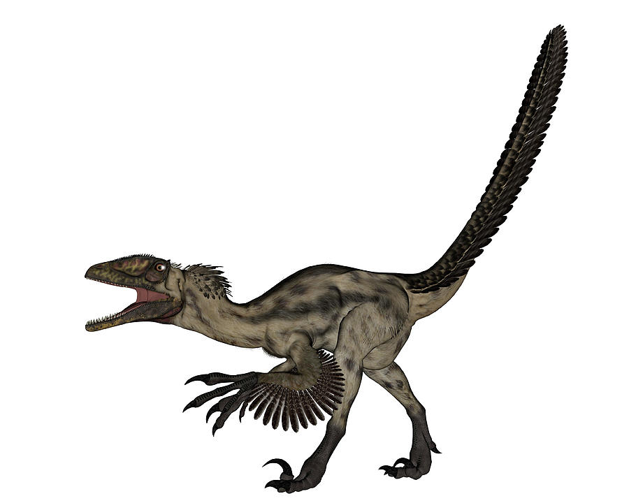 dinosaur with white head