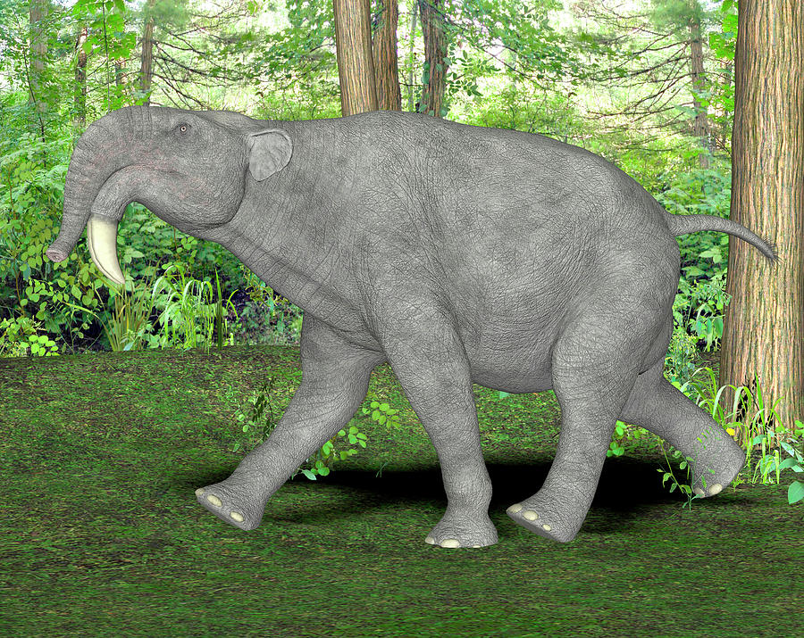 Deinotherium